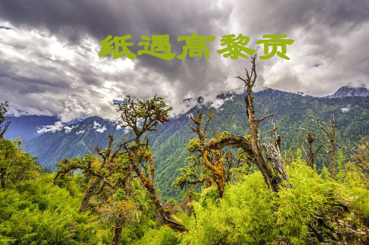 民俗团建|纸遇高黎贡探秘人与自然