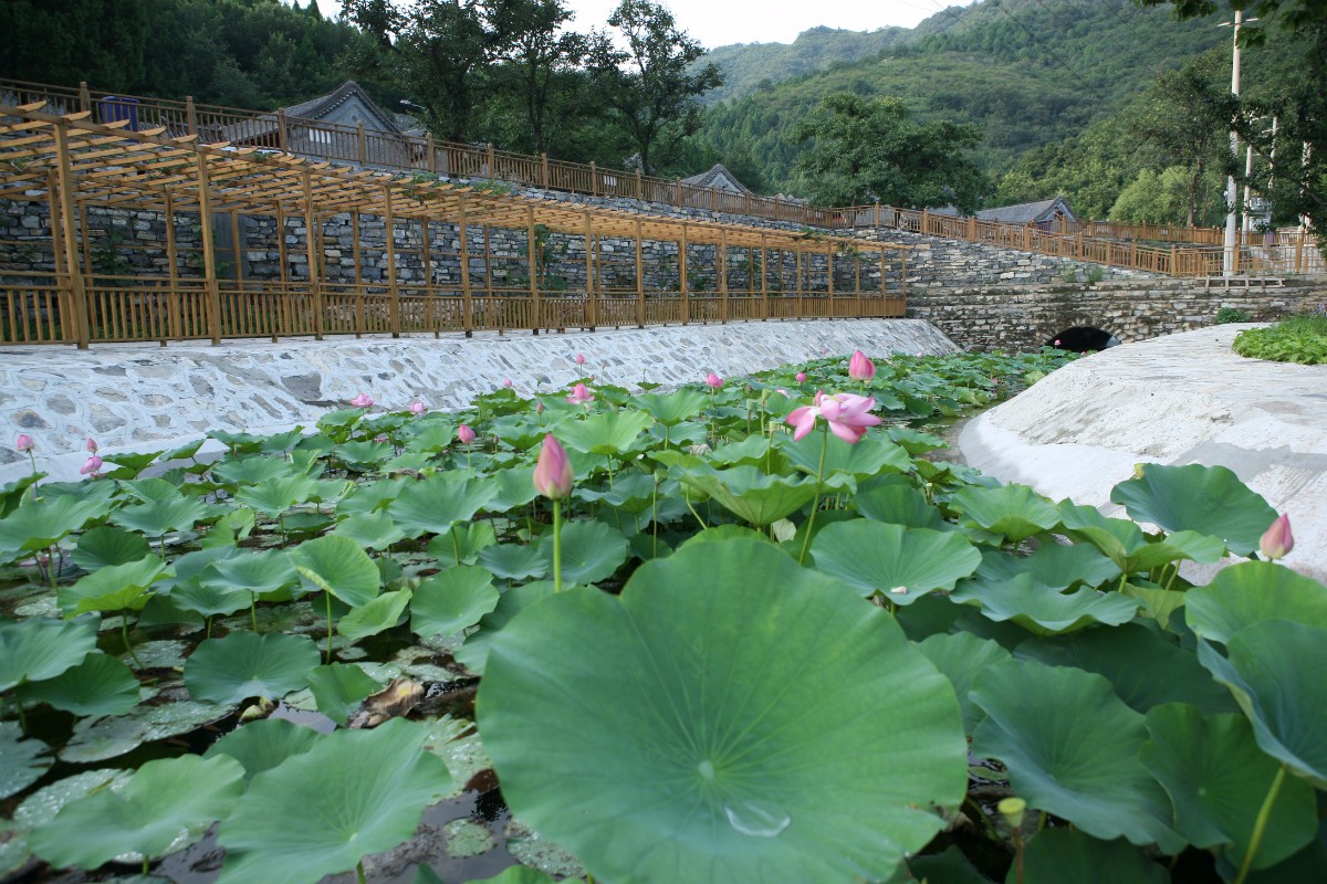 浙江嘉善平湖九龙山