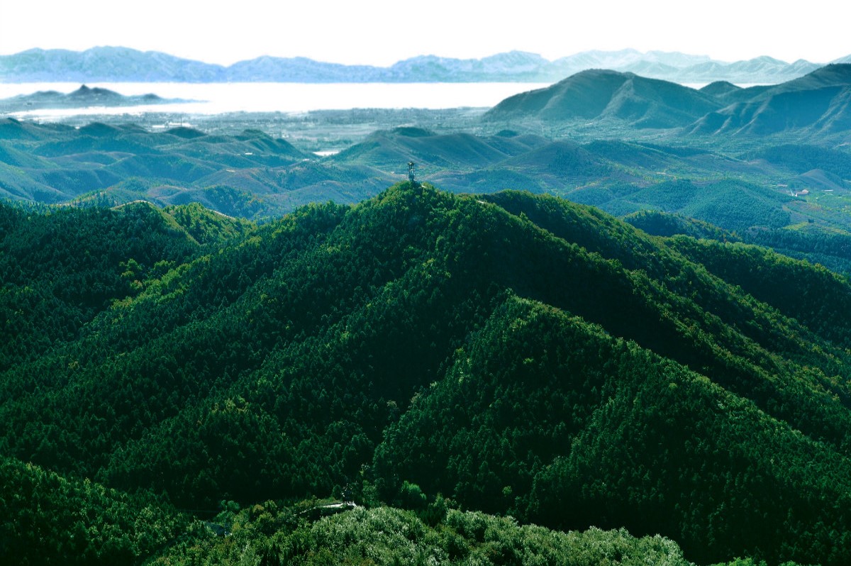 浙江嘉善平湖九龙山