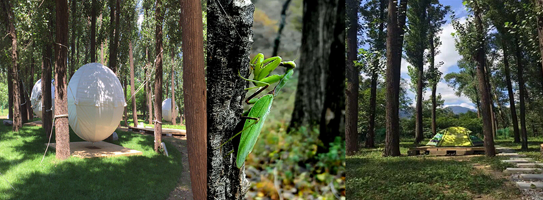 北京响水008京郊格调露营地