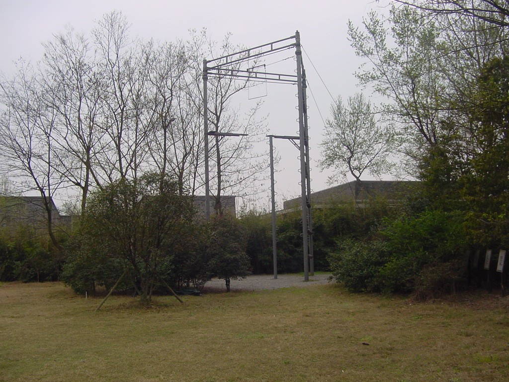 树虎-郫县鹿野苑