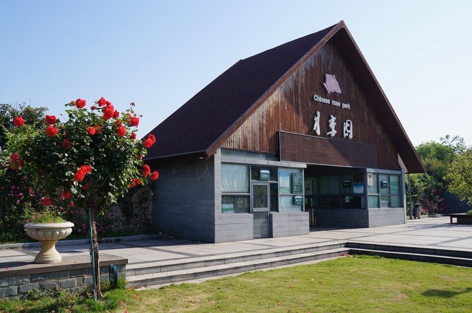 苏州盛泽湖月季园基地