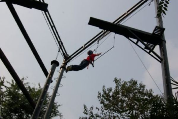 树虎-郫县鹿野苑