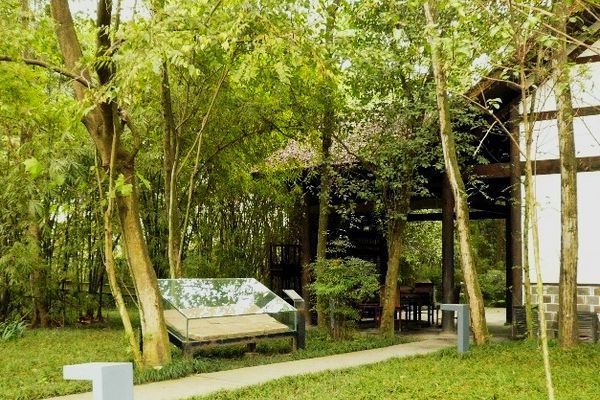 树虎-郫县鹿野苑