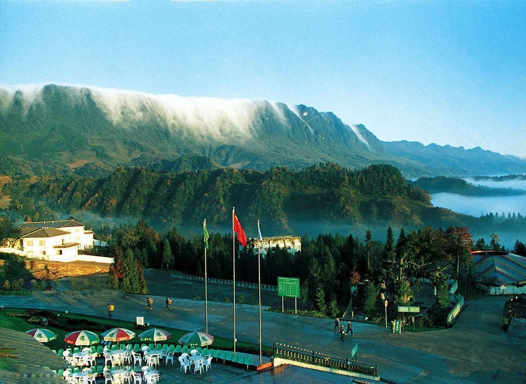 树虎-雅安碧峰峡景区