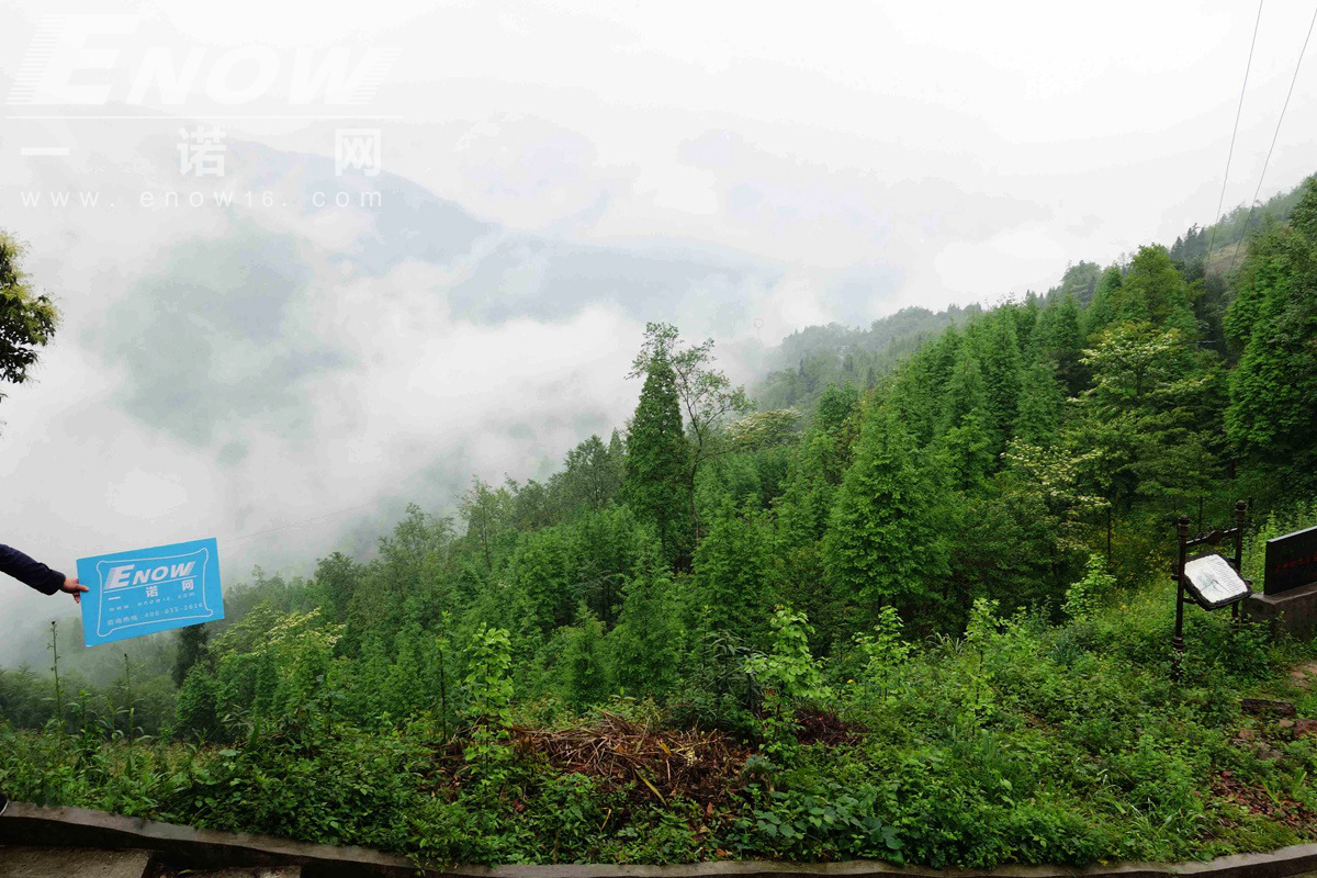 树虎-鸡冠山智慧山庄