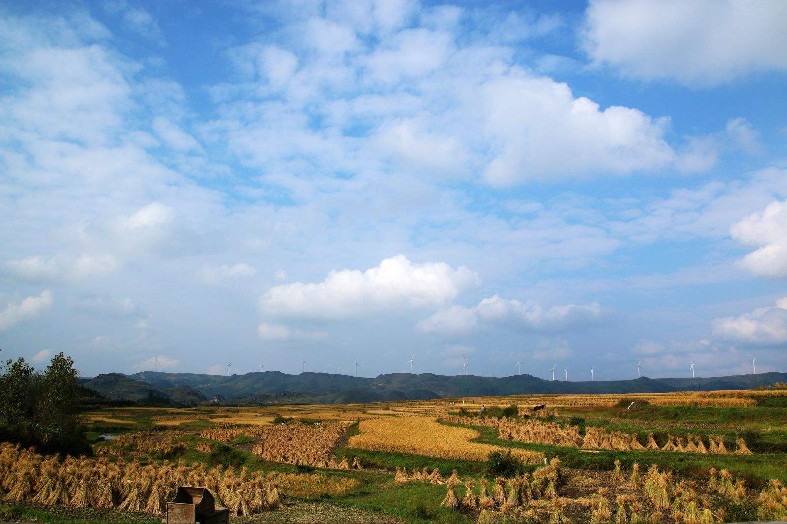 贵州高坡云顶草原基地