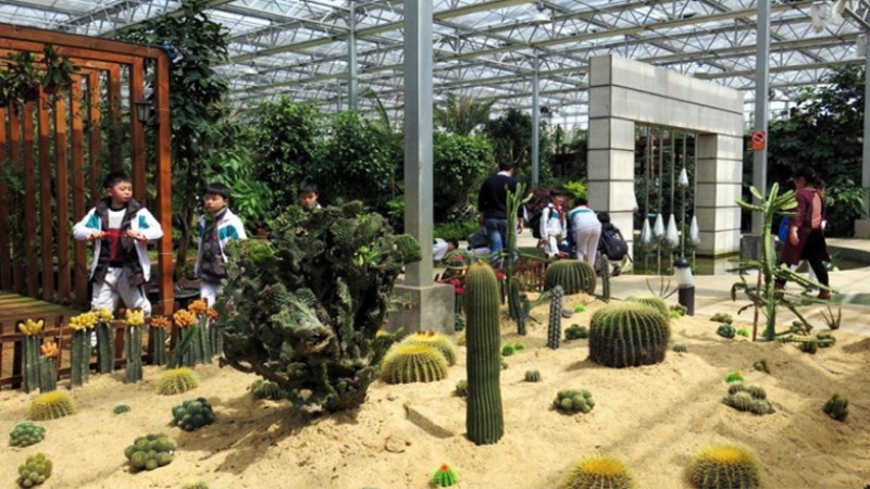 TX海来汇景拓展基地