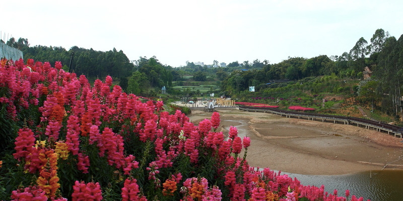 眉山桂花湖基地