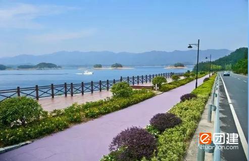 浙江千岛湖驴营地