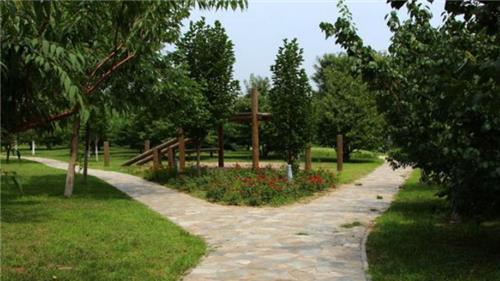北京青龙湖公园
