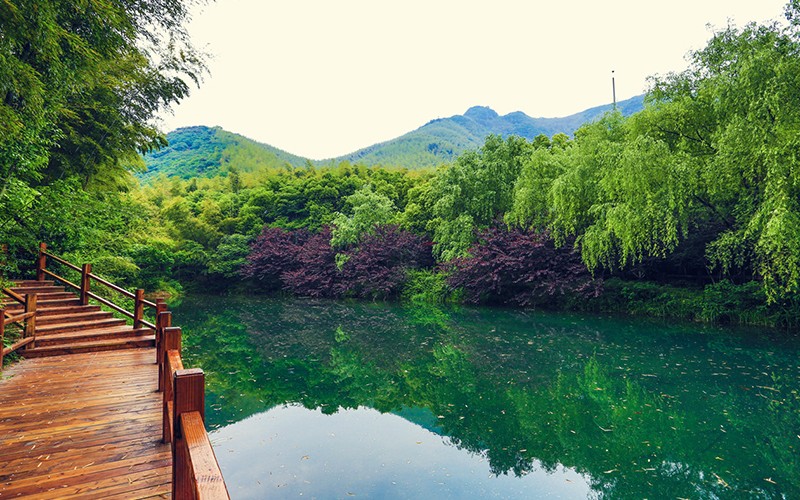 常州溧阳市南山竹海景区