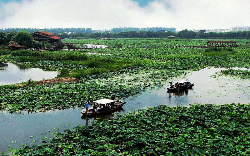 苏州荷塘月色湿地公园   