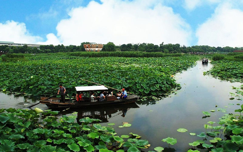 苏州荷塘月色湿地公园   