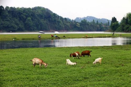 DSC-浦江县 大草场农家乐(长滩湖)