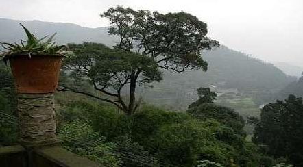 DSC-大邑县 鹤鸣山 林园