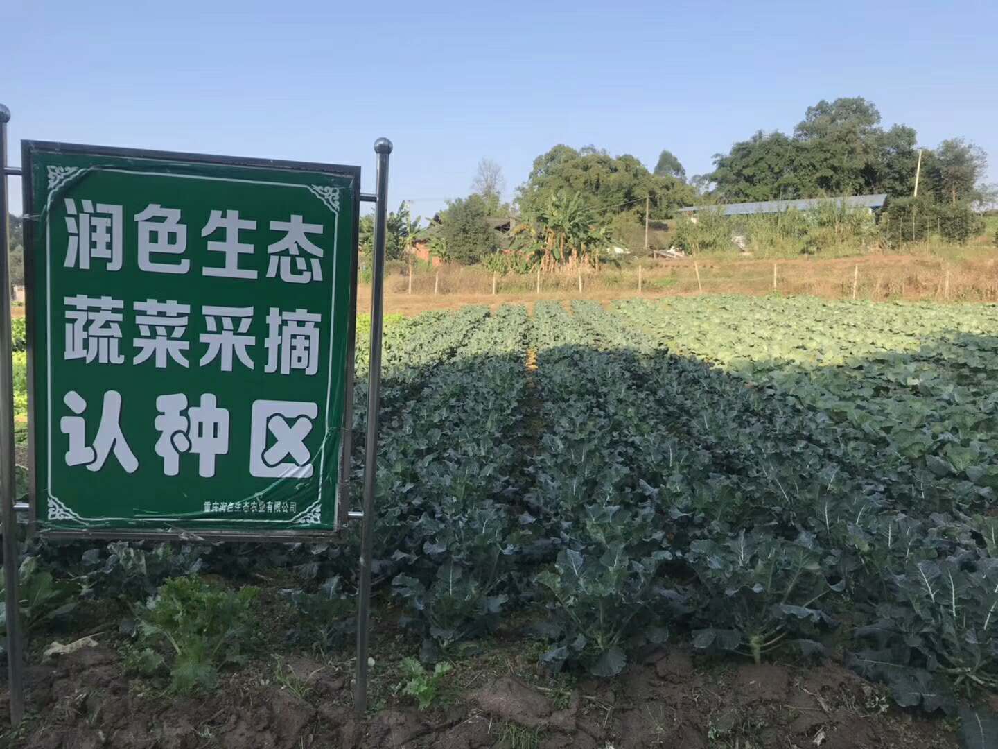 TX永川润色农庄