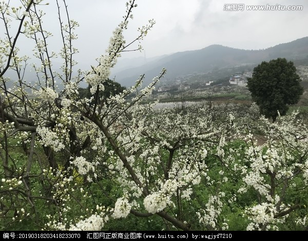 DSC-简阳市-景丹山