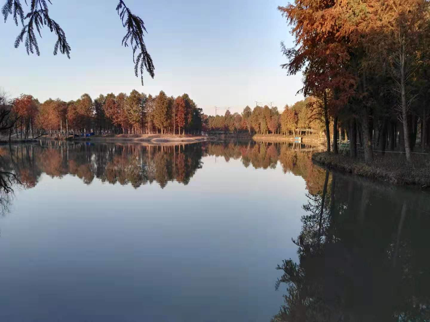 上海松江橙蓝生态园