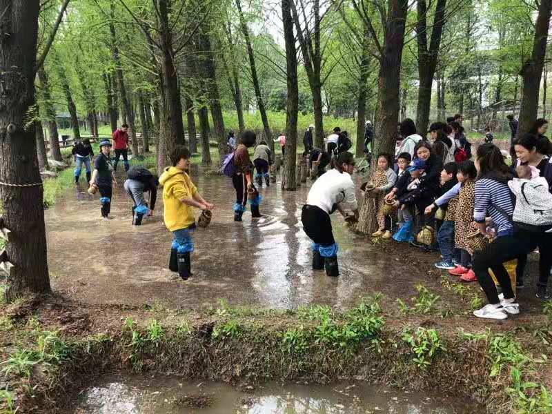 上海松江橙蓝生态园