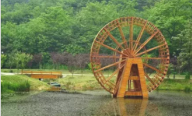 南京不老村