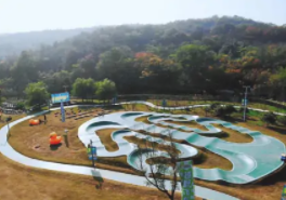 南京不老村