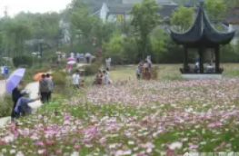 南京不老村