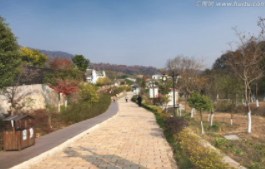 南京不老村