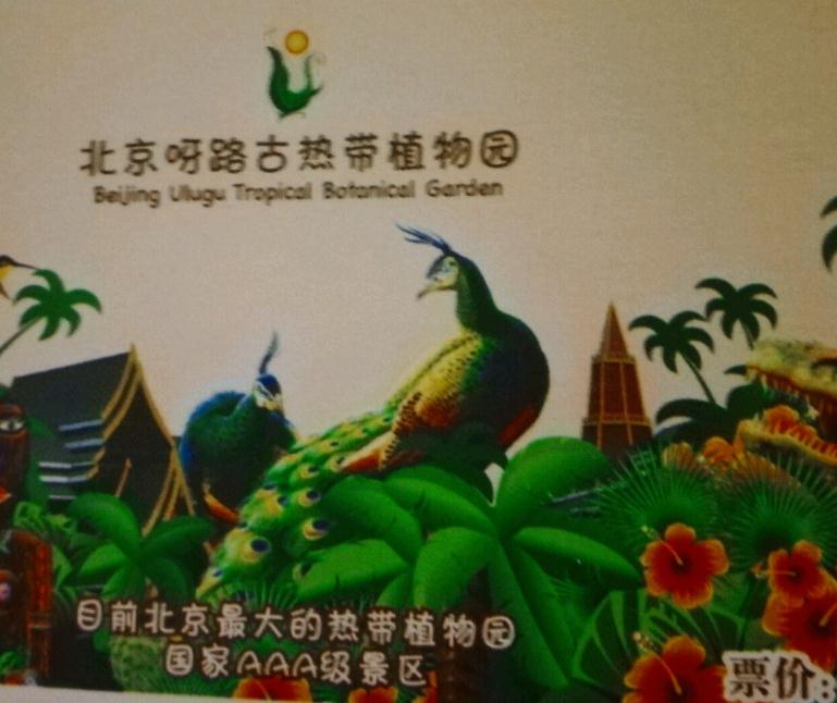 北京大兴呀路古热带植物园