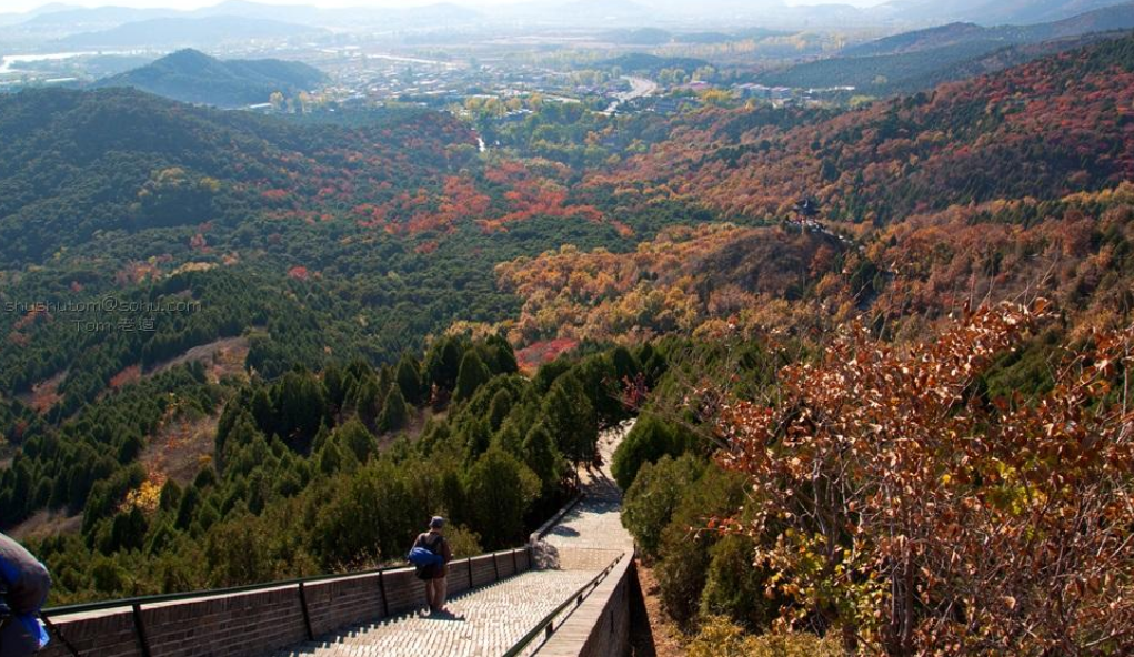 北京怀柔红螺山植树基地