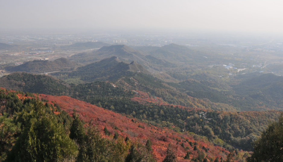 北京怀柔红螺山植树基地