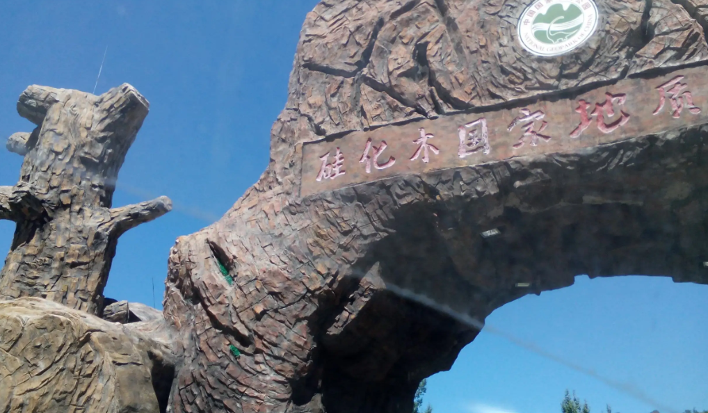 北京延庆硅化木国家地质公园