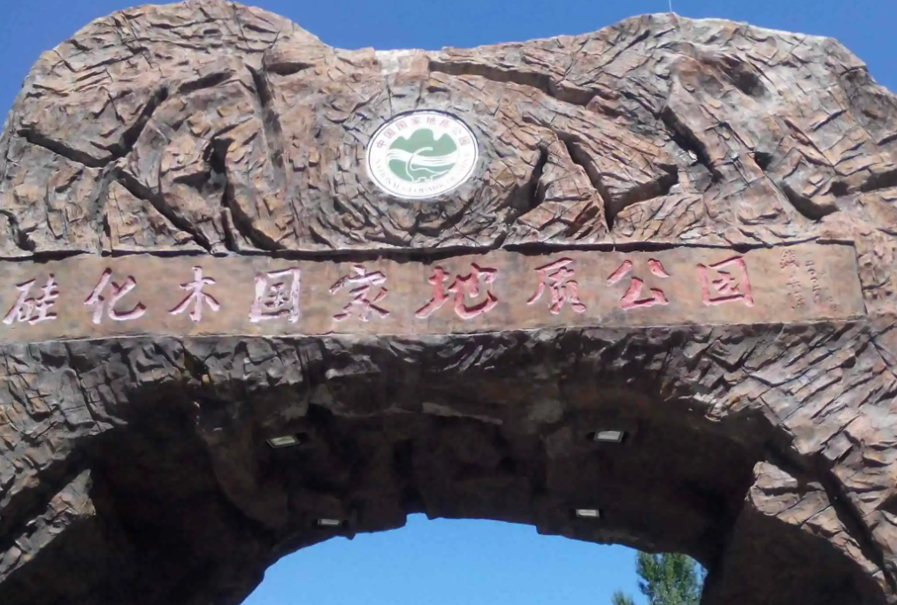 北京延庆硅化木国家地质公园